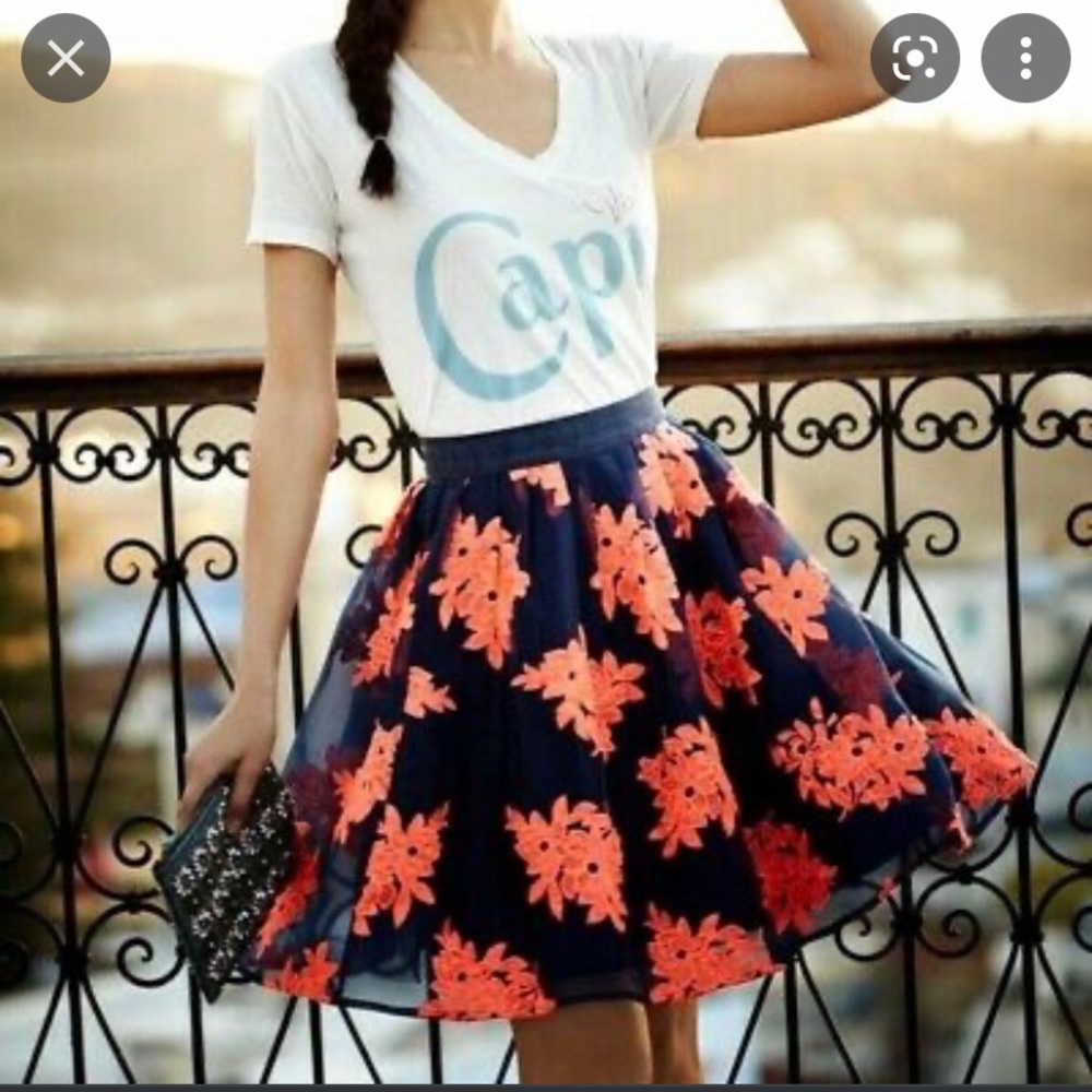 Anthropologie A-Line Tulle Skirt in Navy with Pink Embroidered Flowers